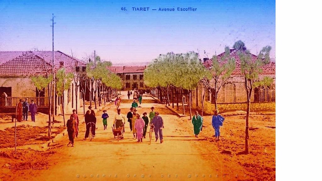 Tiaret - Avenue Escoffier.jpg